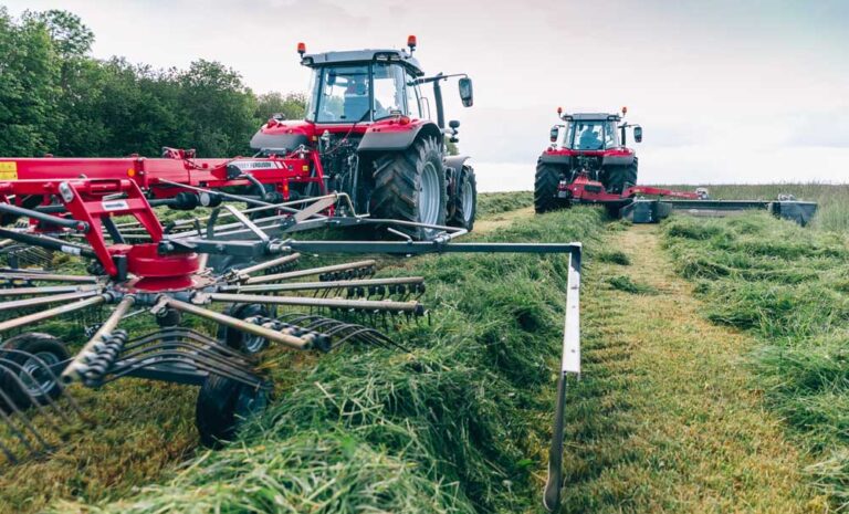 Massey Ferguson karhotin ja niittokone rehunteossa.