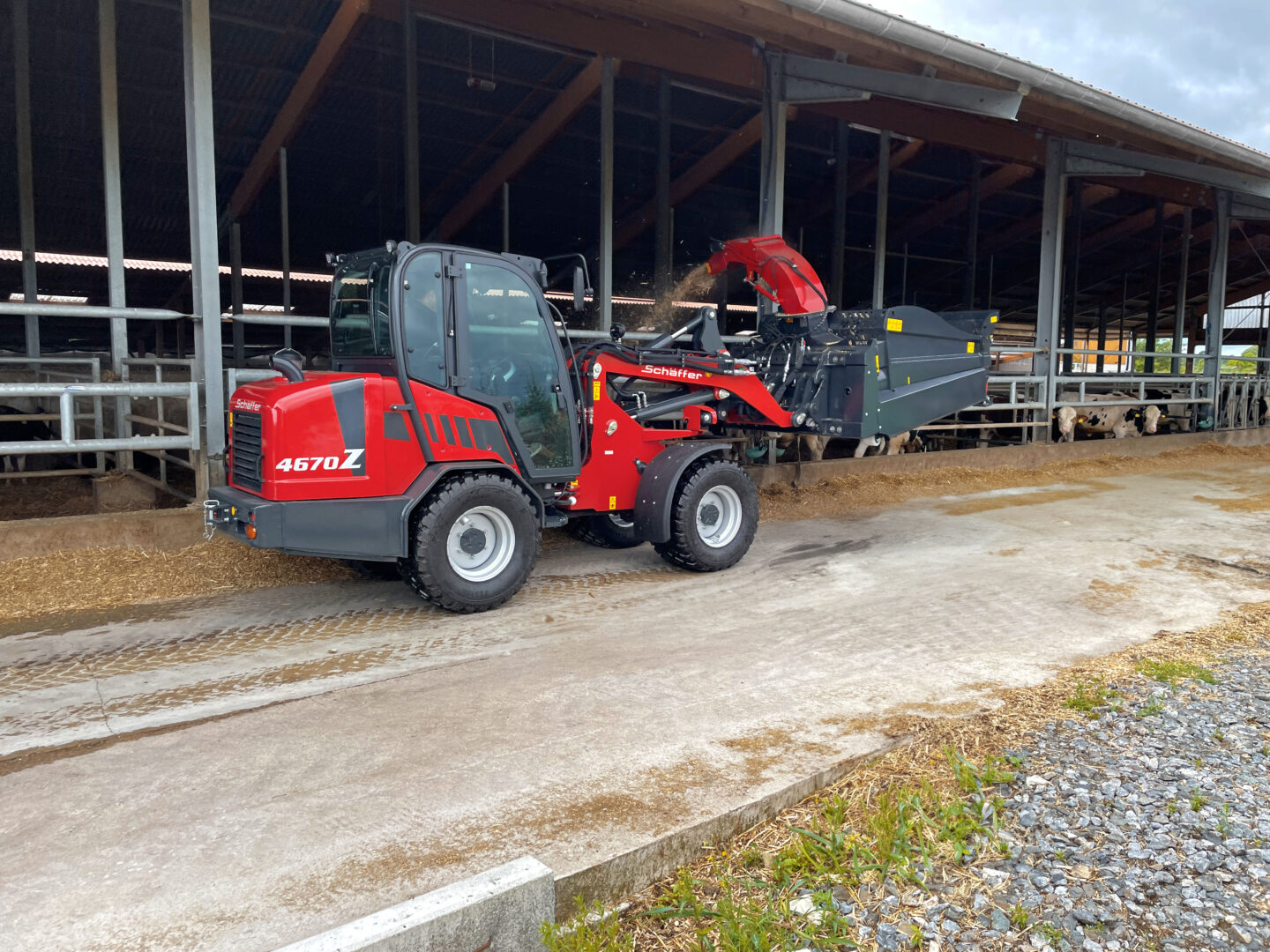Schäffer 4670 Z-2 pyöräkuormaaja jakaa kuiviketta lehmille.