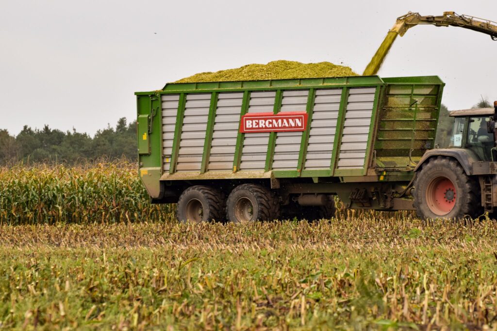 Bergmann HTW -rehunkuljetusvaunu pellolla ajamassa rehua.