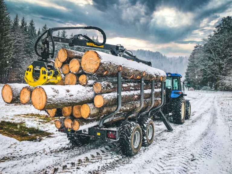 Palms 8SX metsäkärry täynnä tukkeja talvella.